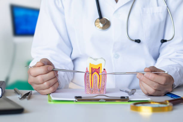 Best Emergency Cosmetic Dentistry in De Soto, IL